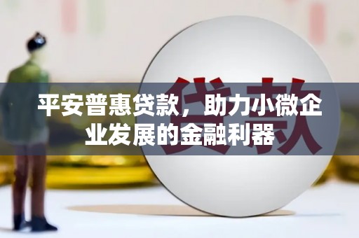 德宏平安普惠贷款，助力小微企业发展的金融利器