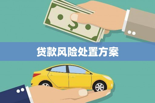 德宏贷款风险处置方案