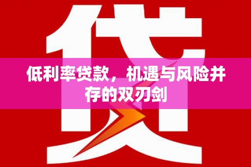 德宏低利率贷款，机遇与风险并存的双刃剑