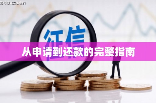德宏从申请到还款的完整指南