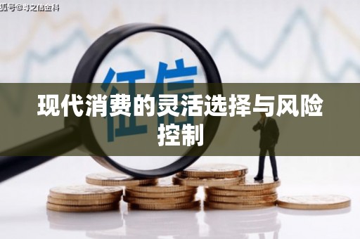 德宏现代消费的灵活选择与风险控制