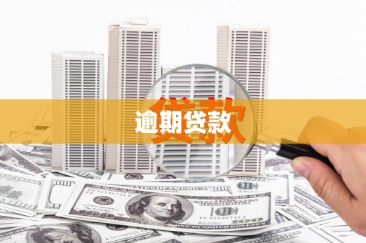 德宏逾期贷款