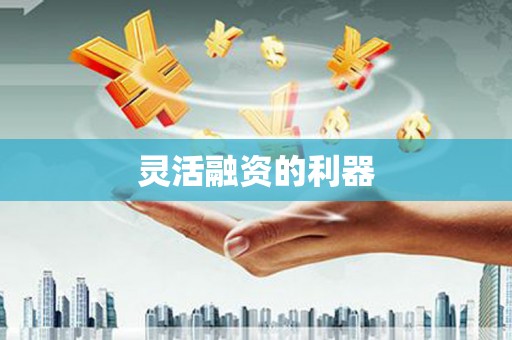 德宏灵活融资的利器