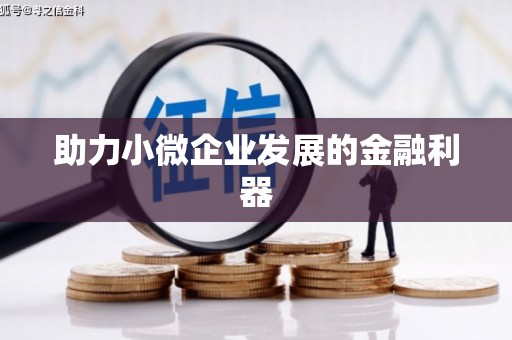 德宏助力小微企业发展的金融利器