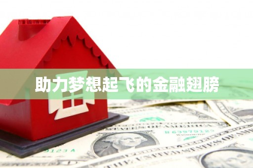 德宏助力梦想起飞的金融翅膀