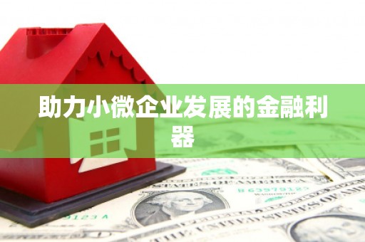 德宏助力小微企业发展的金融利器