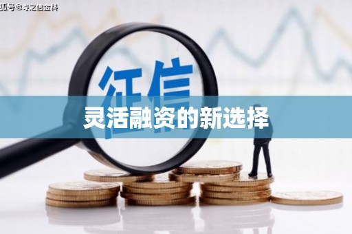 德宏灵活融资的新选择