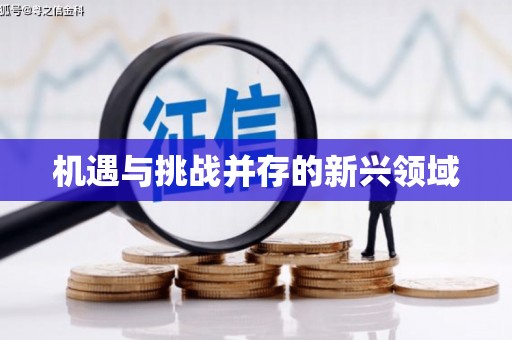 德宏机遇与挑战并存的新兴领域