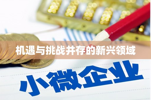 德宏机遇与挑战并存的新兴领域