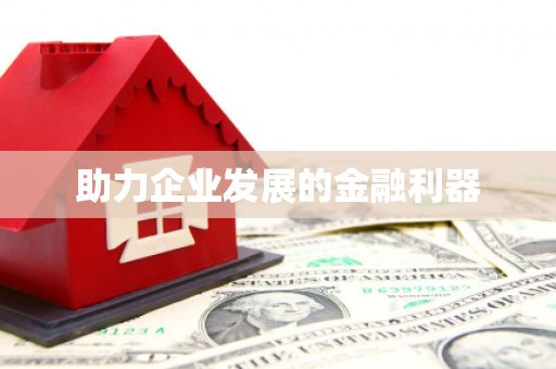 德宏助力企业发展的金融利器