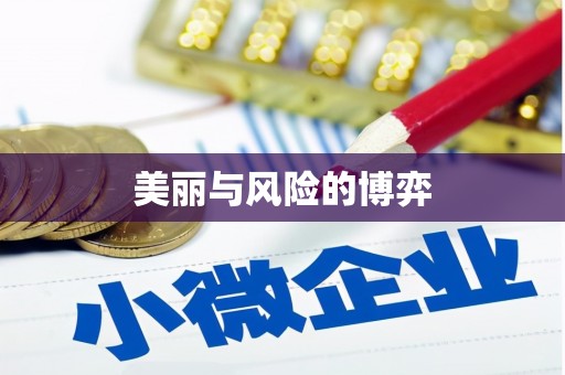 德宏美丽与风险的博弈