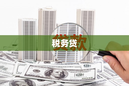 德宏税务贷