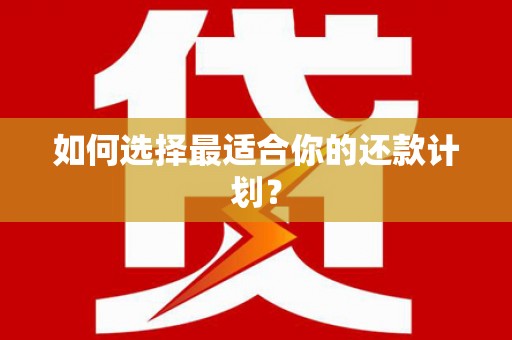 德宏如何选择最适合你的还款计划？