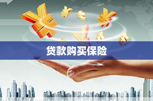 德宏贷款购买保险